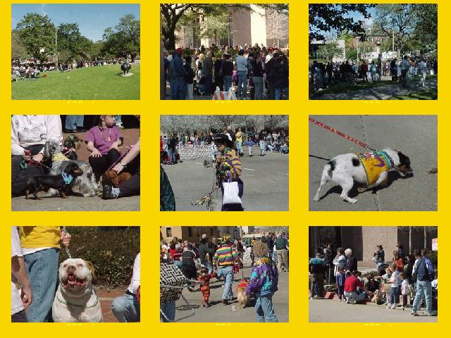 Baton Rouge Mardi Gras - Krewe of Mutts 2001